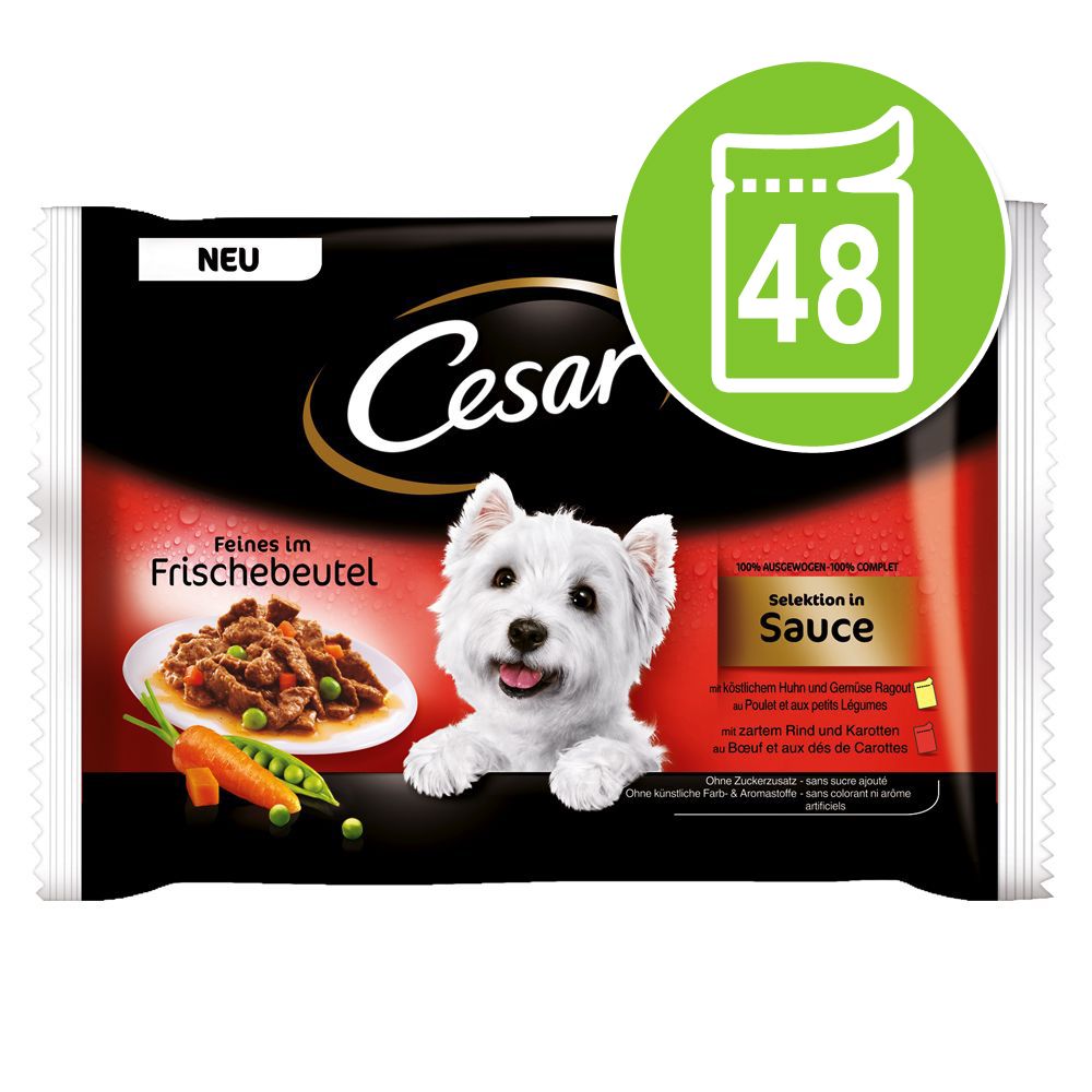 Image of Cesar 48 x 100 g en bolsitas: Selección en salsa o en gelatina - Megapack - Pack mixto: Selección en salsa y en gelatina 05900951253553