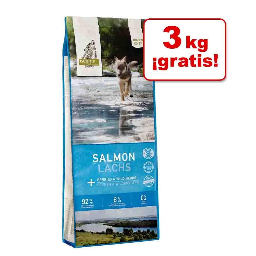 Image of Isegrim 6 kg pienso para perros en oferta: 3 + 3 kg ¡gratis! - Forest con ciervo (2 x 3 kg) 04250231540042