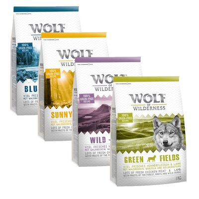 - Wolf of Wilderness Adult - gemischtes Probierpaket Wolf of Wilderness Adult - gemischtes Probierpaket