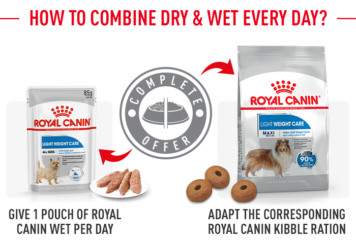 Royal canin maxi light store weight care dog food