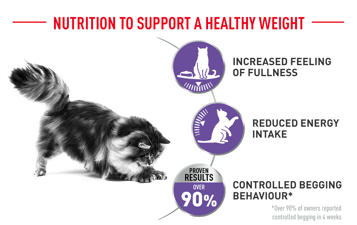 Royal Canin Appetite Control Care