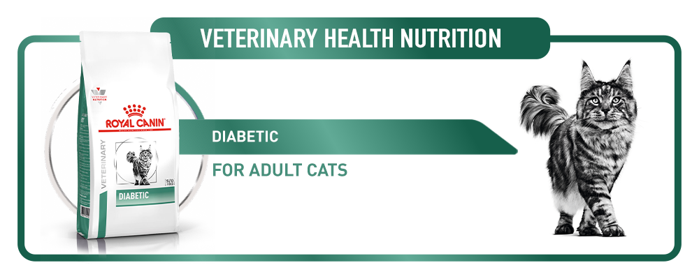 Royal canin veterinary diet feline outlet diabetic