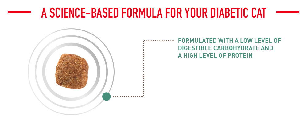 a science-based formula for your diabetic cat