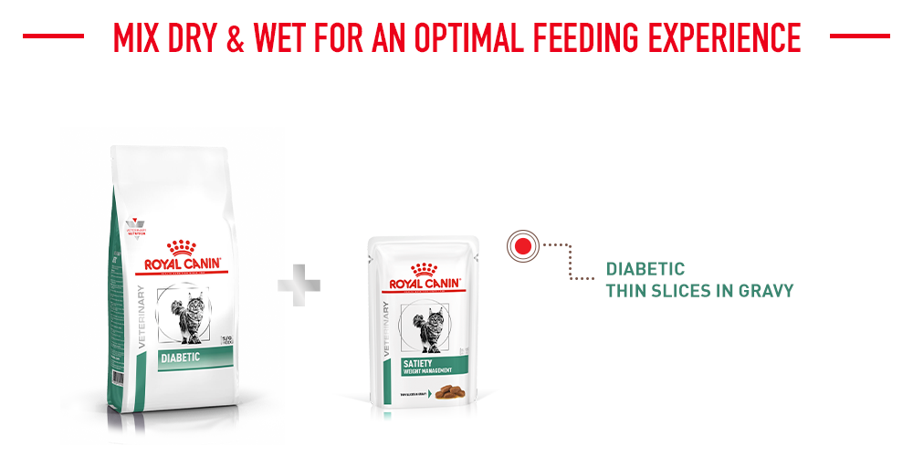 mix dry & wet for an optimal feeding experience