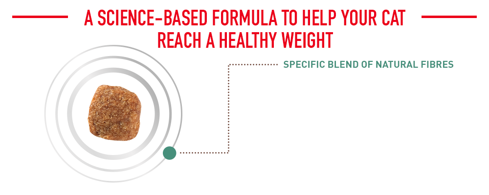 a science-based formula to help your cat reach a healthy weight