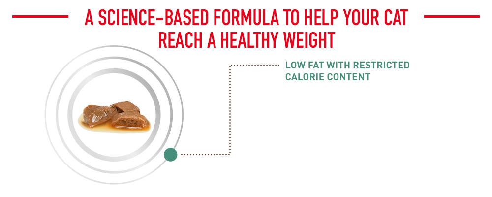 a science-based formula to help your cat reach a healthy weight