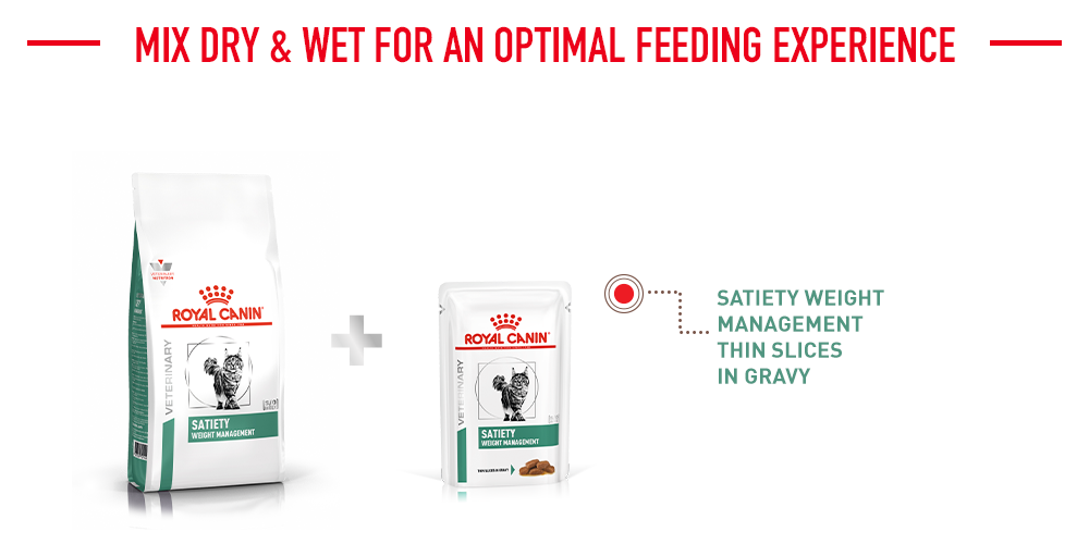 mix dry & wet for optimal feeding experience