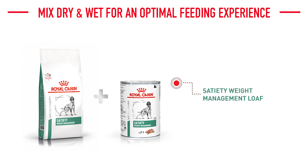 mix dry & wet for an optimal feeding experience