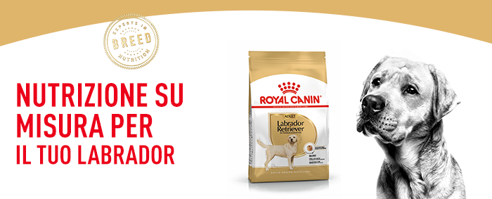 Royal Canin Labrador Retriever
