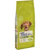 Tonus Dog Chow Adult Pollo - Set %: 2 x 14 kg
