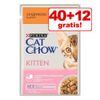 40 + 12 gratis! 52 x 85 g Purina Cat Chow  - Pollo