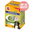 100 + 40 gratis! 140 x Pedigree Dentastix - cani grandi (>25 kg)