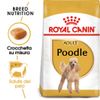 Royal Canin Poodle Adult (barbone) - 7,5 kg
