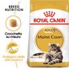 Royal Canin Maine Coon Adult - Set %: 2 x 10 kg
