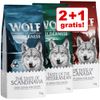 2 + 1 gratis! 3 x 1 kg Wolf of Wilderness Adult The Taste Of - Mini The Taste Of Scandinavia