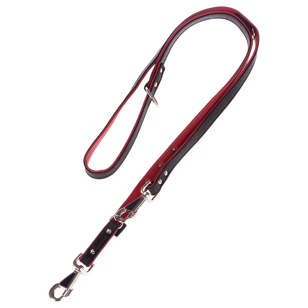 Führleine Pfote 200cm Führleine Pfote 200cm