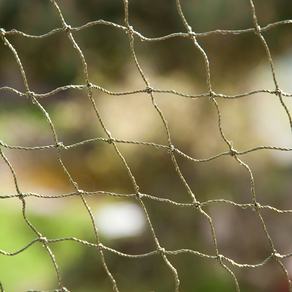 zooplus Exclusive Plasă de protecție pentru pisici întărită și rezistentă - 2 x 1,5 m