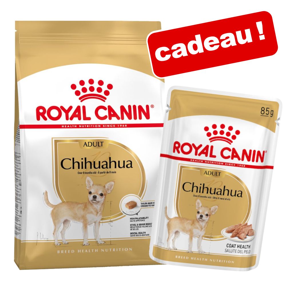 3kg Chihuahua Adult Royal Canin Breed croquettes pour chien + 12x85g Chihuahua Royal Canin Nourriture humide pour chien