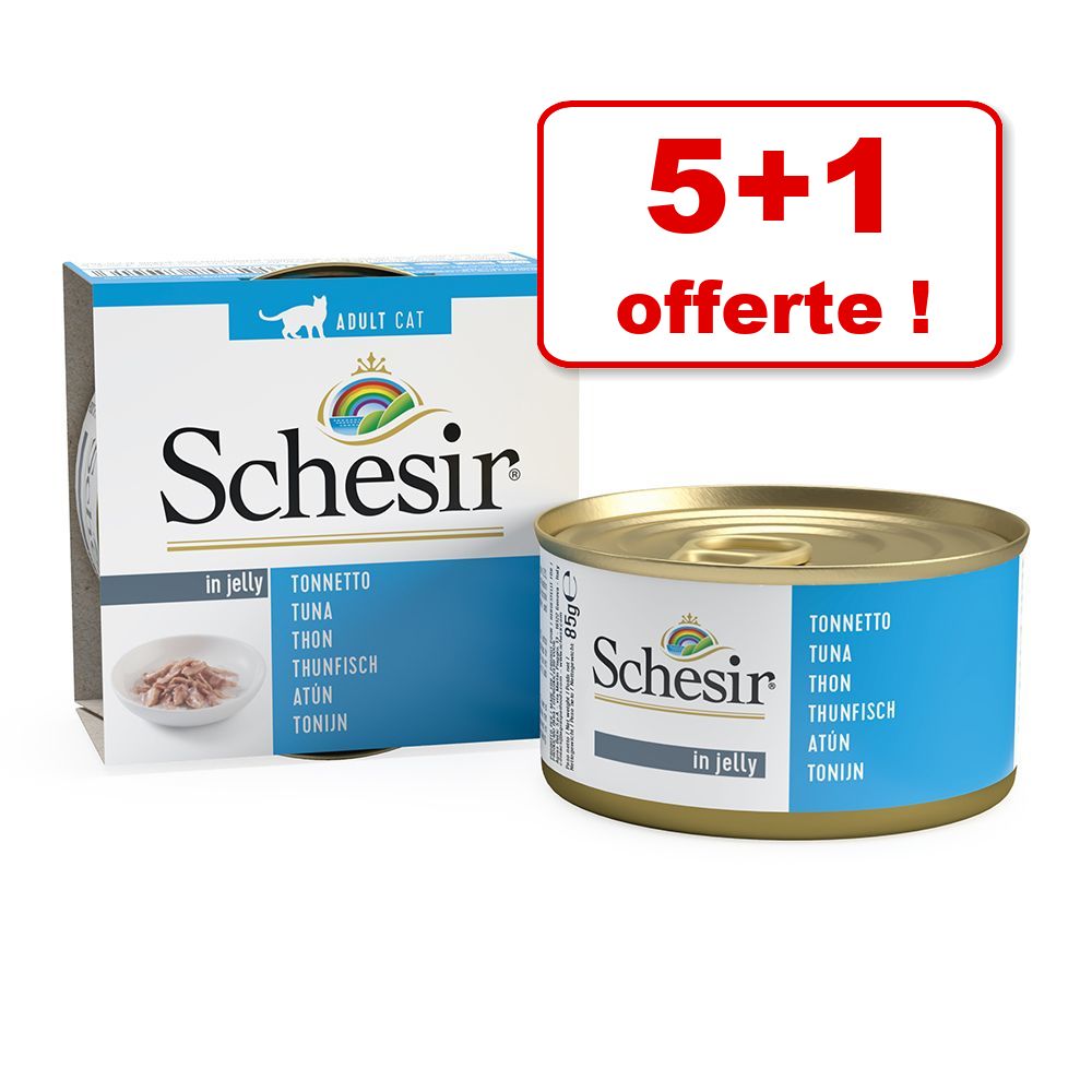 5x85g thon, aloe en gelée Schesir - Nourriture pour Chat + 1 boîte offerte !