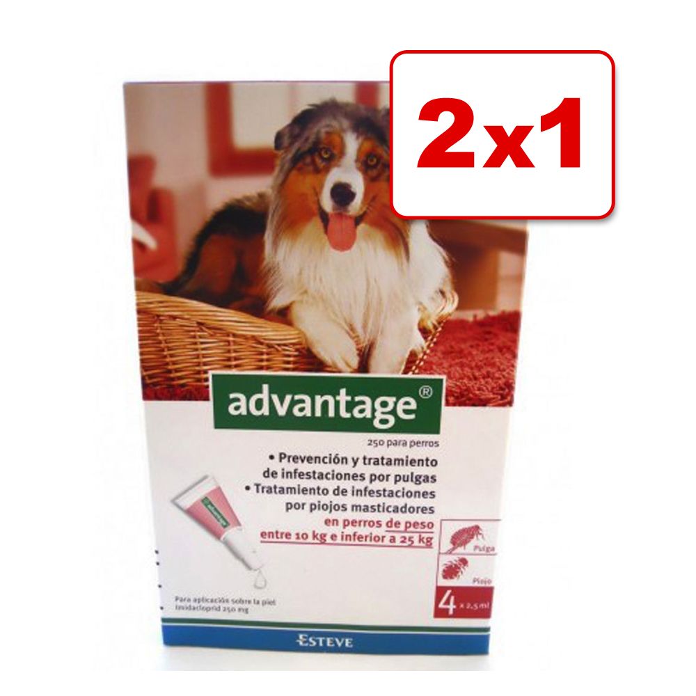 Image of Advantage® 250 solución spot-on para perros en oferta: 1 + 1 ¡gratis! - 2 x 4 pipetas 04007221036470