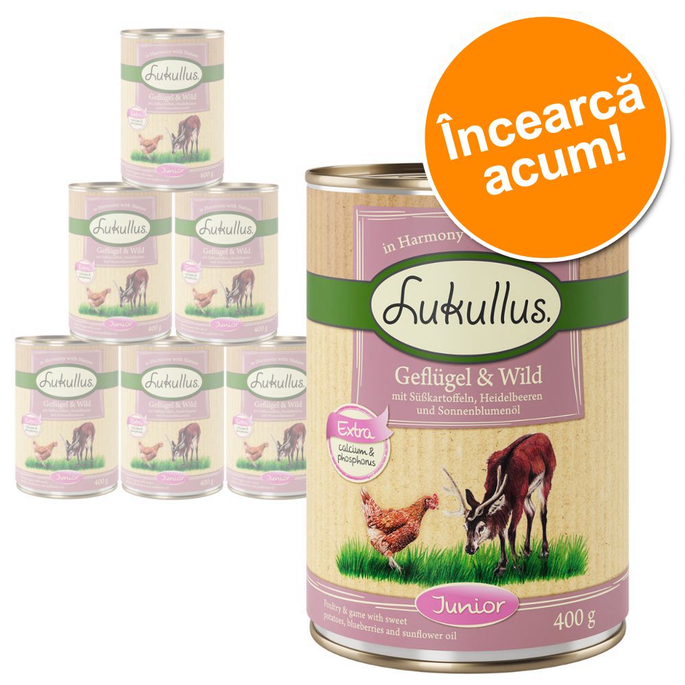 Lukullus Junior Pachet mixt de testare - 6 x 400 g