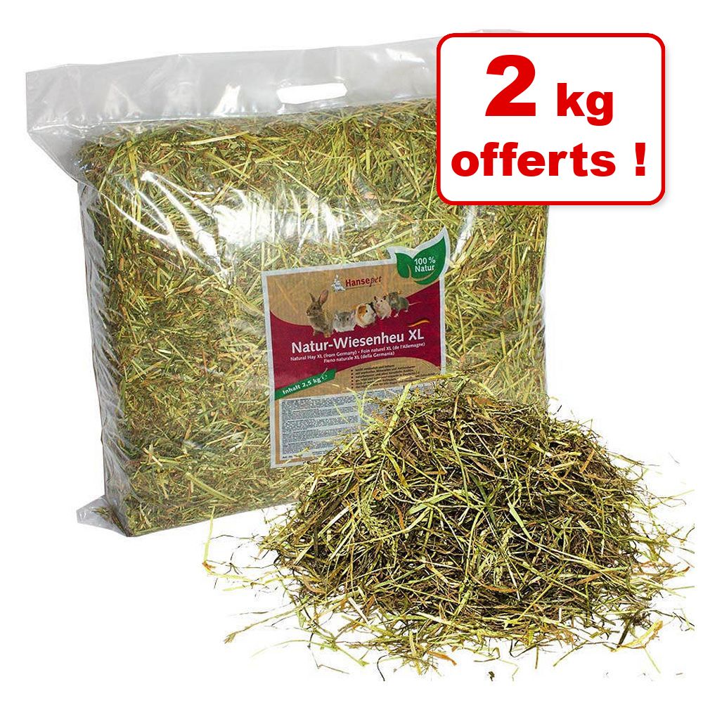 Hansepet Foin de prairie pour rongeur 10 kg + 2 kg offerts ! - 12 kg