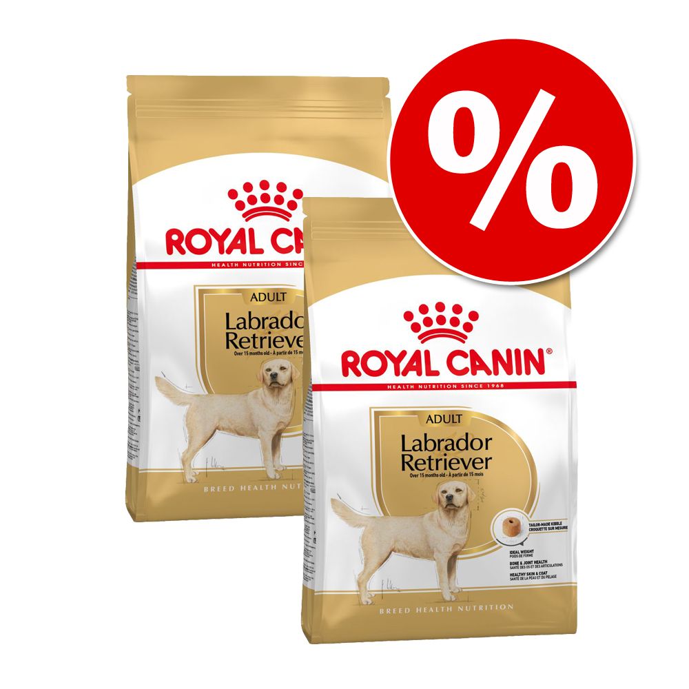 2 x 3 kg Royal Canin Breed Adult zum Sonderpreis! - Labrador Retriever