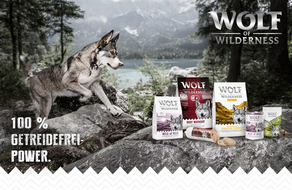 Wolf of Wilderness Produkte mit Text '100 % getreidefrei! Power.' Verschiedene Sorten: Wild Hills, Ruby Midnight, Endless Terrain und Wild Bites.