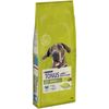 Tonus Dog Chow Large Breed Tacchino - 14 kg