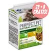 28 + 8 gratis! 36 x 50 g Perfect Fit Natural Vitality Adult 1+ - Pollo & Tacchino
