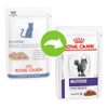 Royal Canin Neutered Adult Maintenance Veterinary  - 12 x 85 g