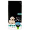 Pro Plan Large Puppy Robust OptiDigest Ricco in Agnello Crocchette per cani - 12 kg