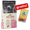 12 kg Almo Nature Holistic + 7 Barkoo Dental Snacks gratis! - Medium Adult con Salmone