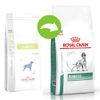 Royal Canin Diabetic DS 37 Veterinary Diet - 7 kg