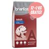 12 kg + 2 kg gratis! 14 kg Briantos - Adult Salmone & Riso