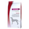 Eukanuba Veterinary Diets Adult Intestinal - Set %: 2 x 12 kg
