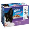Felix Kitten Buste in gelatina - 12 x 100 g Pollo, Merluzzo, Agnello e Platessa