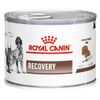 Royal Canin Recovery Veterinary Diet  - Set %: 48 x 195 g