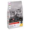 Pro Plan Kitten Ricco in Pollo - Set %: 2 x 10 kg