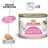 Royal Canin First Age Mother & Babycat - 12 x 195 g