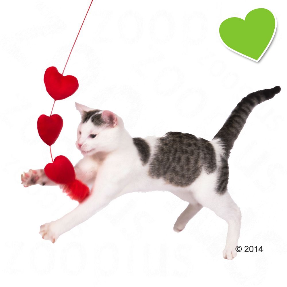 zoolove Katzenangel Herzen - 1 Stück