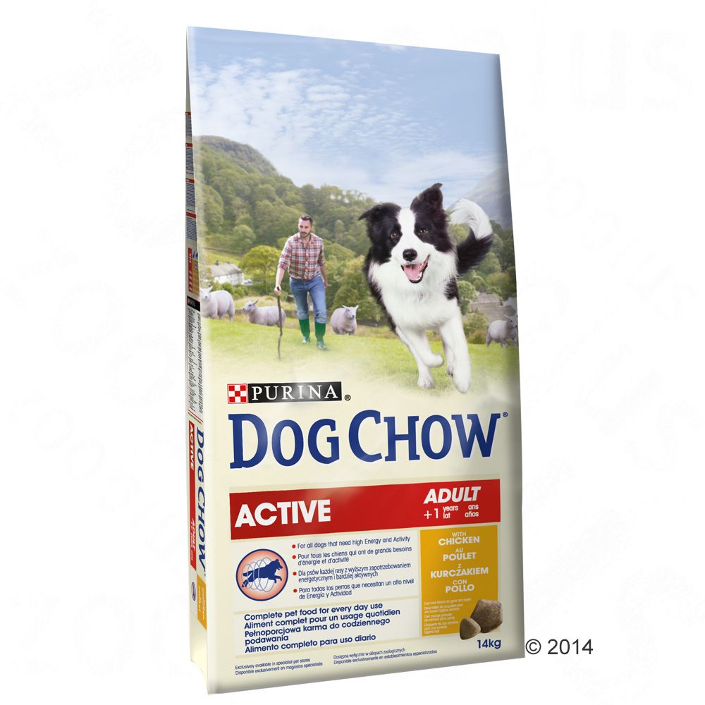 Image of Purina Dog Chow Adult Active con pollo - 14 kg 07613034487933