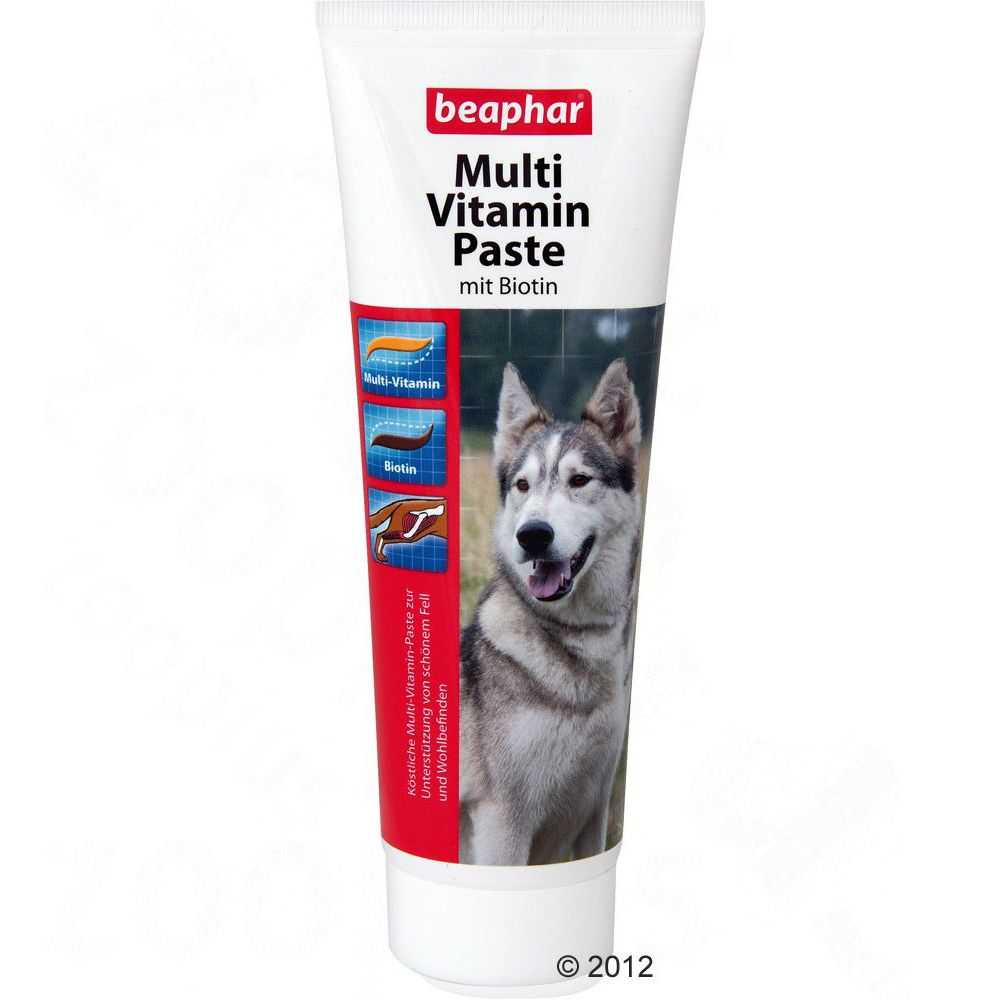 Image of Beaphar complemento multivitamínico con biotina para perros - 250 g 08711231129669