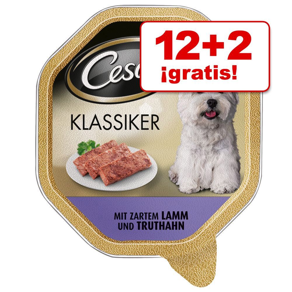 Image of Cesar 14 x 150 g comida húmeda en tarrinas: 12 + 2 ¡gratis! - Cesar Sugerencias del chef - Buey con verduras 03065890120730