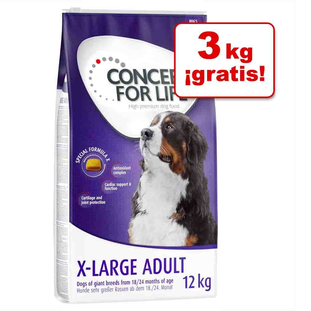 Image of Concept for Life 3 a 12 kg pienso para perros en oferta: hasta 3 kg ¡gratis! - Mini Junior (3 kg + 1,5 kg gratis) 04260358512556