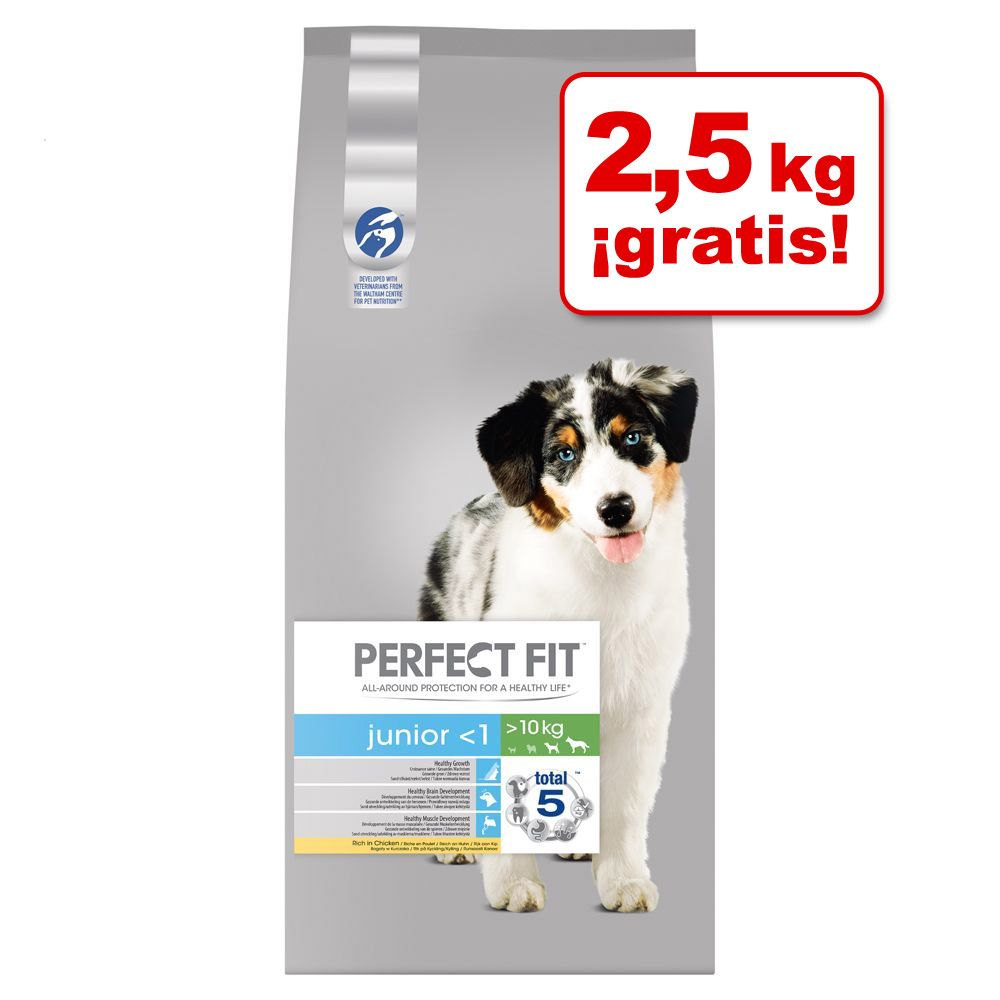 Image of Perfect Fit 14,5 kg en oferta: 12 + 2,5 kg ¡gratis! - Adult Dogs (>10kg) 14,5 kg 04008429092190
