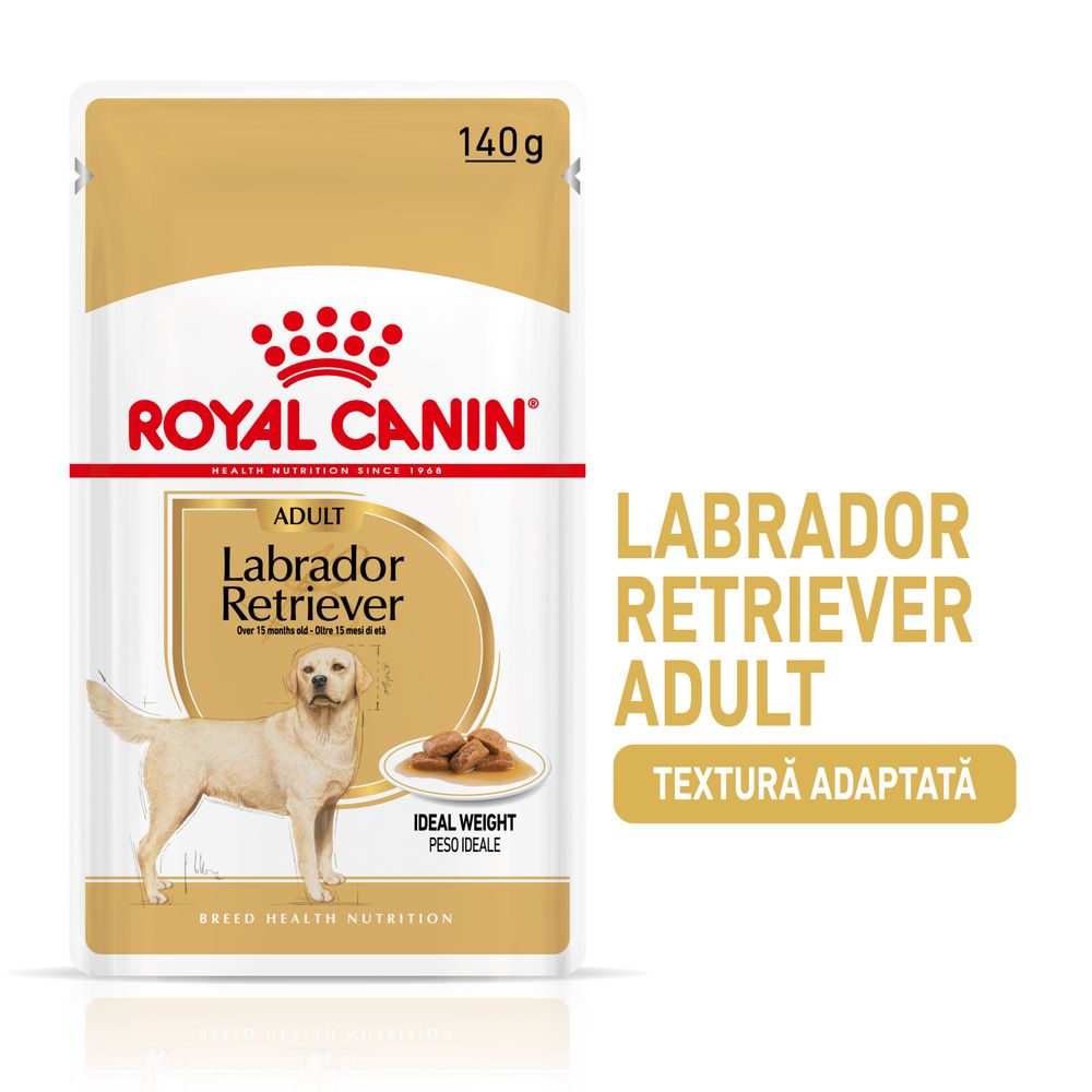 20x140g Breed Labrador Retriever Adult Royal Canin
