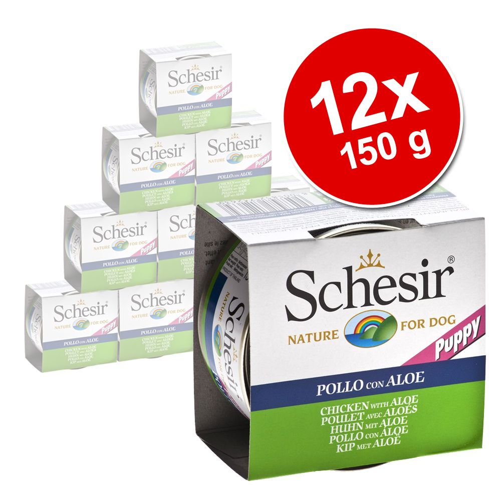 Image of Pack Ahorro: Schesir Puppy en latas 12 x 150 g - Filete de pollo con aloe 08005852712639