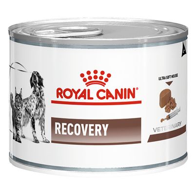 Image of Royal Canin Veterinary Diet Feline Recovery - 12 x 195 g