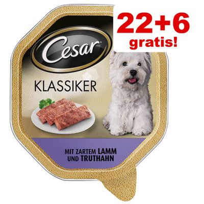 22 6 28 X 150 G Cesar Natvoer Tuinmix Met Gevogelte Groente En Rijst cesar kopen in de aanbieding 22 6 28 X 150 G Cesar Natvoer Tuinmix Met Gevogelte Groente En Rijst cesar kopen in de aanbieding